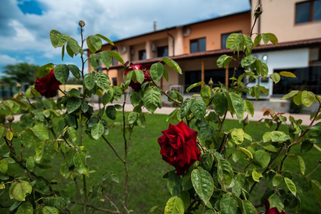 Spa Kompleks Raiski Kat Dimitrovgrad  Buitenkant foto